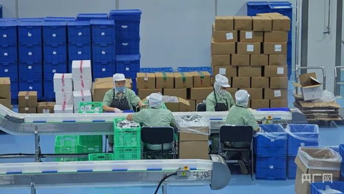 永登食品工业集群 加工环节的突进与变革