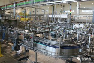 乳香飘万家，产业兴仙河——记仙河镇家门口的乳制品加工厂正式投产